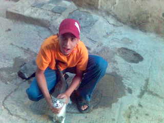 moi avec chat dans casablanca et madina la9dima
