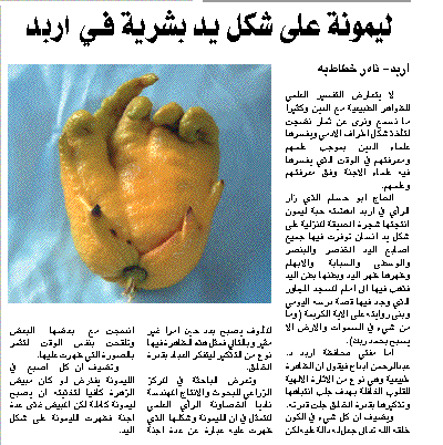 limon 3la chak yad sbhana lah